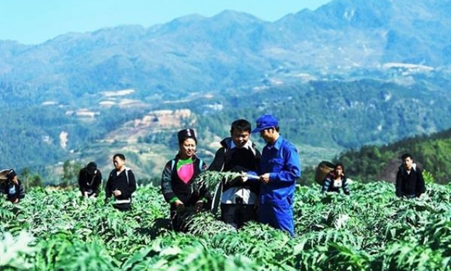 5 nhiệm vụ, giải pháp trọng tâm phát triển kinh tế - xã hội khu vực biên giới đất liền