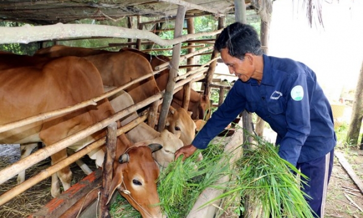 Tăng năng suất lao động là ‘chìa khóa’ để giảm nghèo bền vững