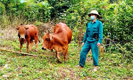 Dự án nhân rộng mô hình giảm nghèo ở Tràng Định: Tạo động lực để người dân vươn lên