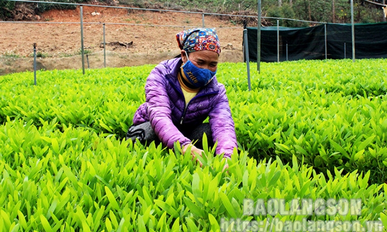 Hữu Lũng: Lan tỏa phong trào thi đua yêu nước