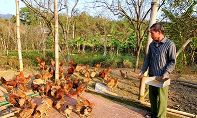 Hội viên nông dân vượt khó làm giàu