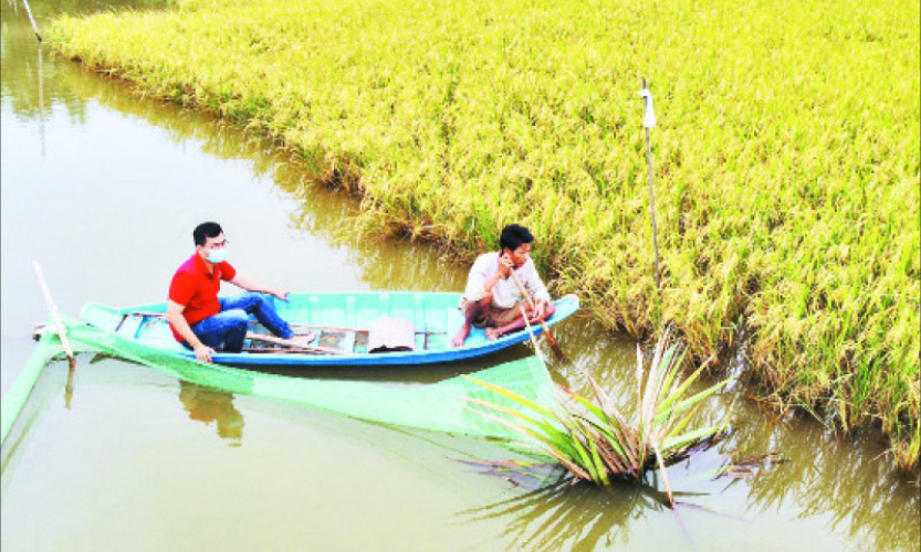 Người Khmer vượt khó, làm giàu