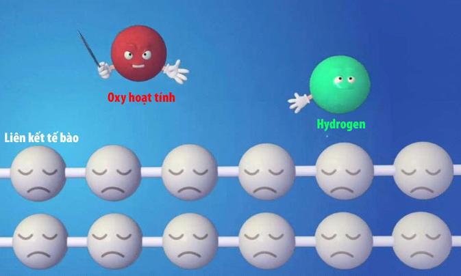 Mua máy lọc nước ion kiềm ở đâu uy tín, giá rẻ, chất lượng tốt nhất