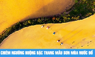 Chiêm ngưỡng ruộng bậc thang Mẫu Sơn mùa nước đổ