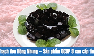 Thạch đen Hồng Nhung - Sản phẩm OCOP 3 sao cấp tỉnh