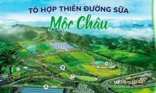 Điểm đặc biệt của Tổ hợp thiên đường sữa Mộc Châu