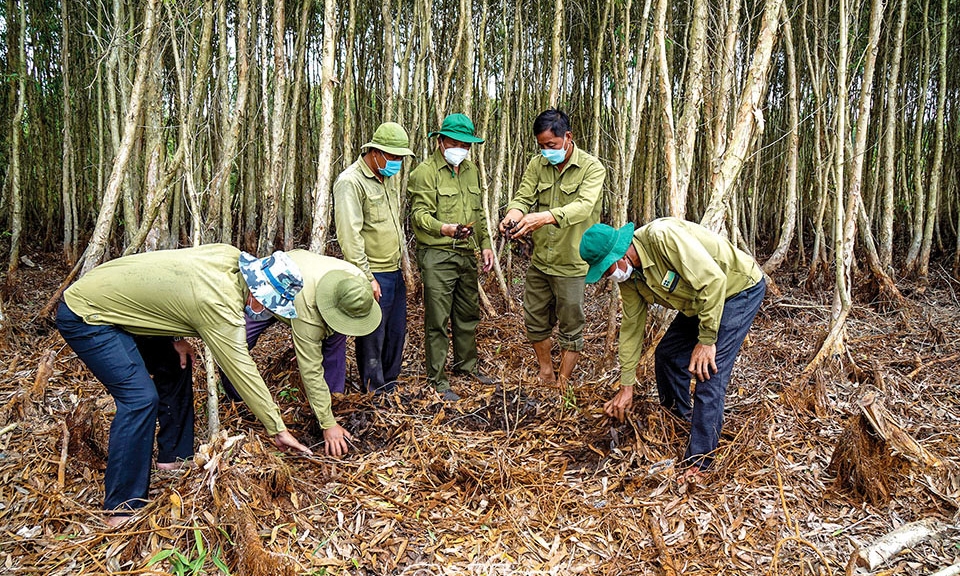 Sản xuất gắn với rừng