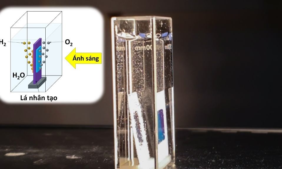 Việt Nam công bố chế tạo “lá nhân tạo” điều chế hydro từ nước và ánh sáng