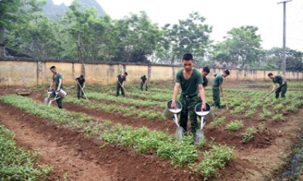 Tiểu đoàn Huấn luyện - Cơ động tích cực hưởng ứng phong trào tăng gia sản xuất