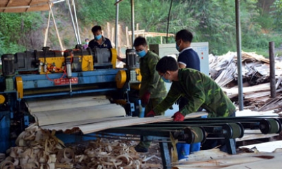 Hữu Lũng: Đảm bảo an toàn cho người lao động tại các cơ sở bóc gỗ