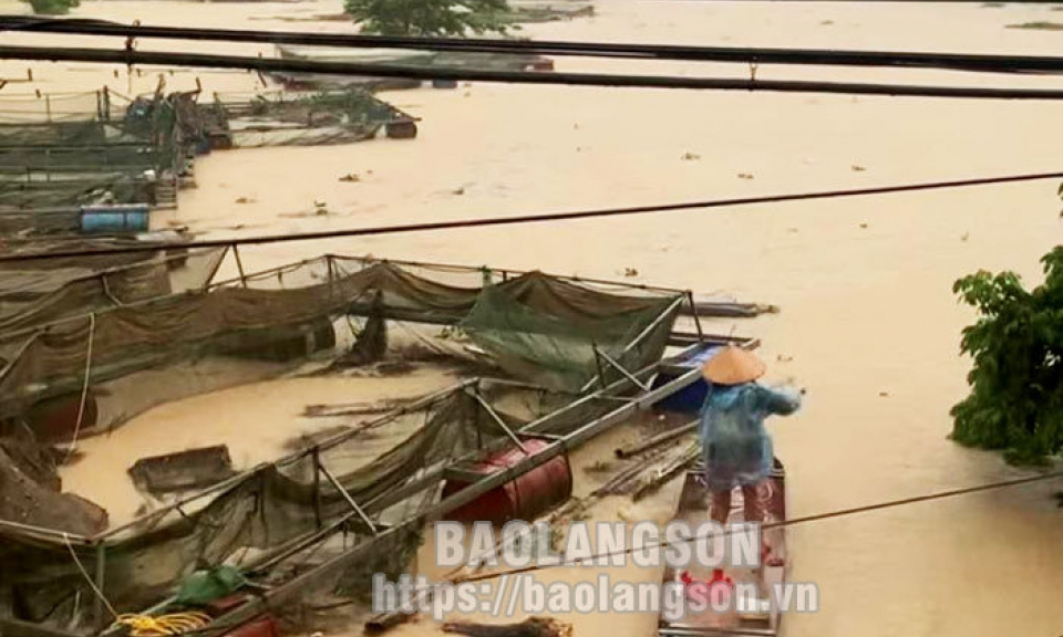 Văn Quan: Người nuôi cá lồng thiệt hại hơn 3,2 tỷ đồng do mưa lũ