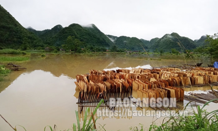 Mưa lớn bất thường trên diện rộng tại Lạng Sơn: Một người chết, nhiều nơi ngập úng, sạt lở