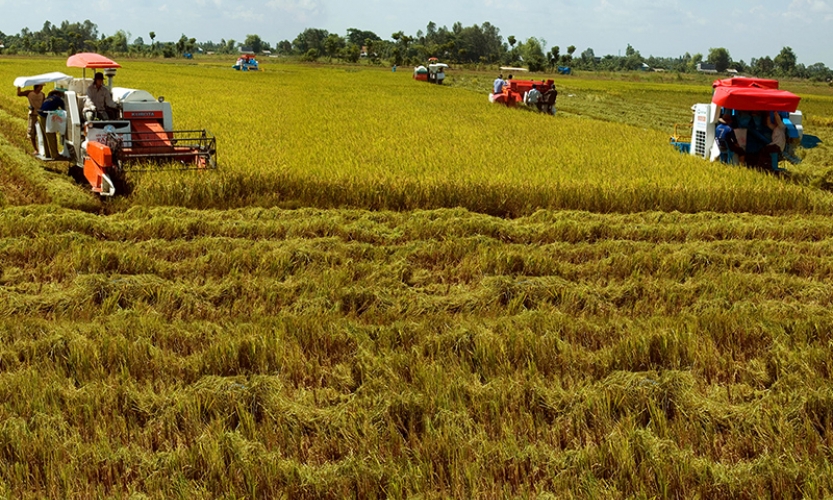 Nâng cao chất lượng công tác khuyến nông