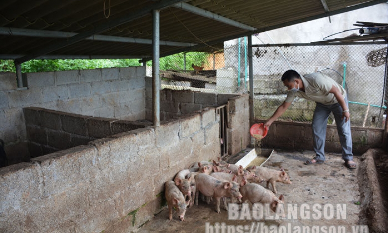 Sử dụng hiệu quả quỹ hỗ trợ nông dân