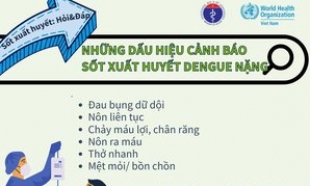 Cao điểm dịch sốt xuất huyết: Cần chủ động phòng bệnh