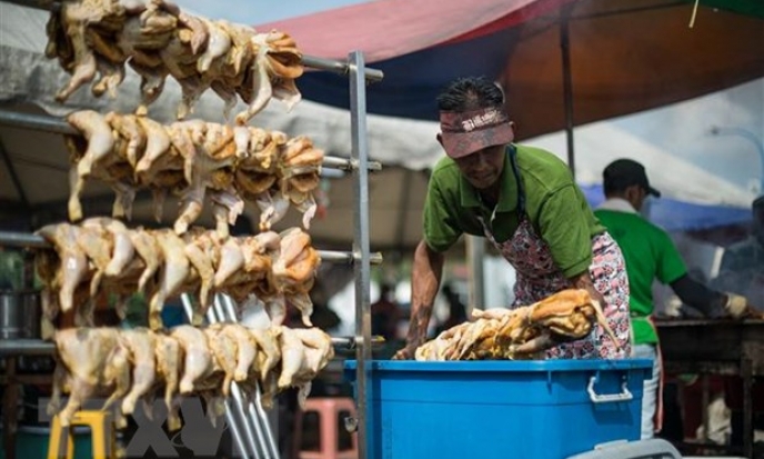 Singapore tìm giải pháp cho cuộc "khủng hoảng cơm gà"