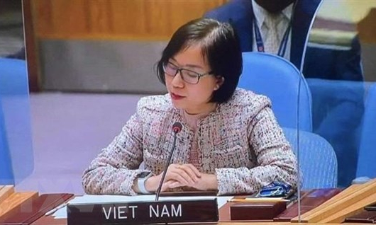 Việt Nam cam kết quản lý súng nhỏ, vũ khí nhẹ theo chương trình LHQ