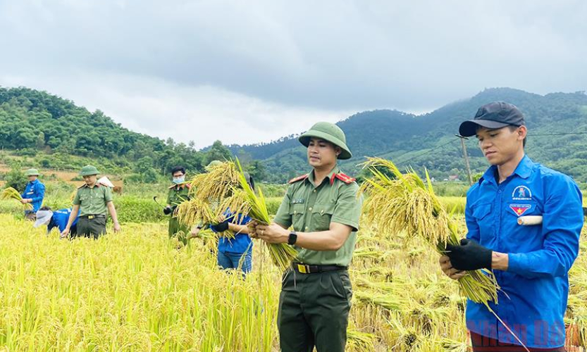 Khởi động Giải báo chí về thanh thiếu nhi Việt Nam năm 2022