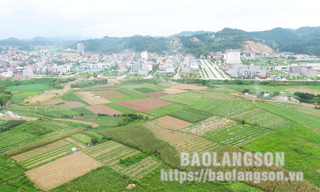 Dự án Khu đô thị mới Mai Pha: Lắng nghe để tạo đồng thuận