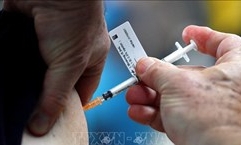 Vaccine dạng dán chống lại các biến thể của SARS-CoV-2 hiệu quả hơn