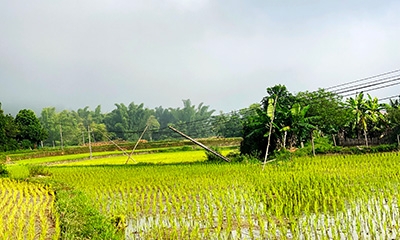 Tiềm ẩn nguy cơ mất an toàn từ cột điện nghiêng, đổ