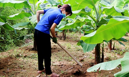 Hội Nông dân huyện Chi Lăng: Đa dạng hình thức phát triển hội viên