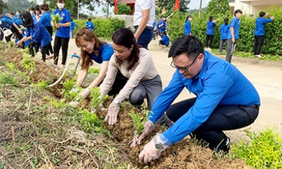 Theo bước thanh niên tình nguyện