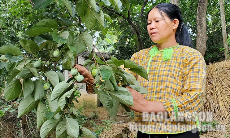 Cao Lộc: Phát triển vùng sản xuất hàng hóa tập trung gắn với liên kết tiêu thụ sản phẩm chủ lực