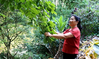 Văn Lãng: Đẩy mạnh dân vận hướng về cơ sở