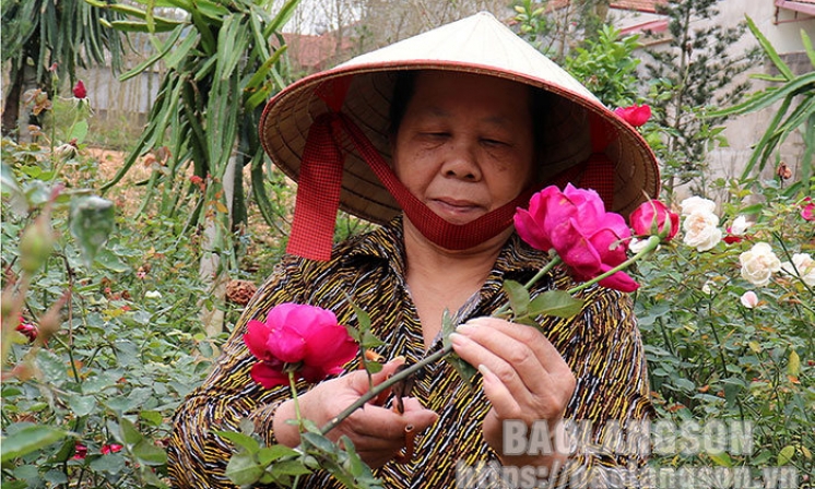 Thành phố Lạng Sơn: Vốn vay giải quyết việc làm “tiếp sức” cho người dân phát triển kinh tế