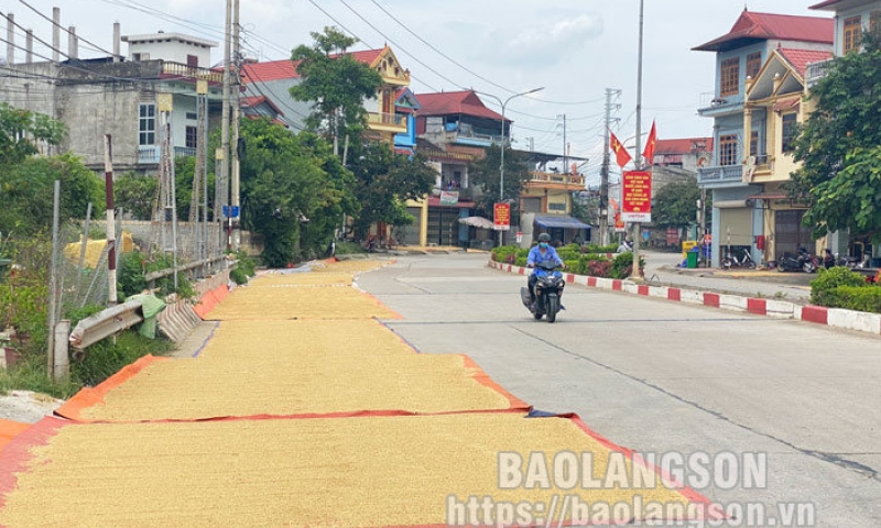 Lấn chiếm lòng đường làm nơi phơi thóc