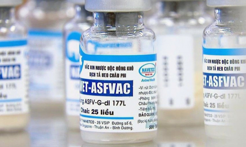 Báo Đức ca ngợi Việt Nam phát triển vaccine chống dịch tả lợn châu Phi