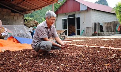 Hội viên nông dân điển hình làm kinh tế giỏi