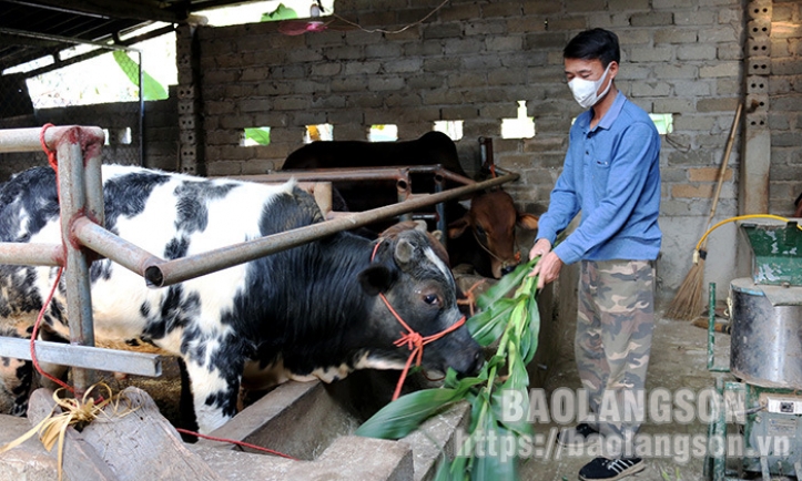 Chú trọng chăm sóc đàn vật nuôi mùa nắng nóng