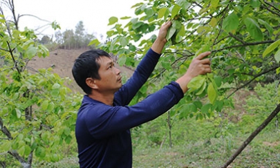 Văn Lãng: Tạo động lực từ các phong trào thi đua yêu nước