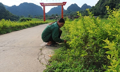 Nông dân Bắc Sơn góp sức xây dựng nông thôn mới