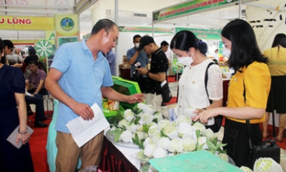 Thực hiện tiêu chí tổ chức sản xuất trong xây dựng nông thôn mới: Cần tập trung củng cố các hợp tác xã