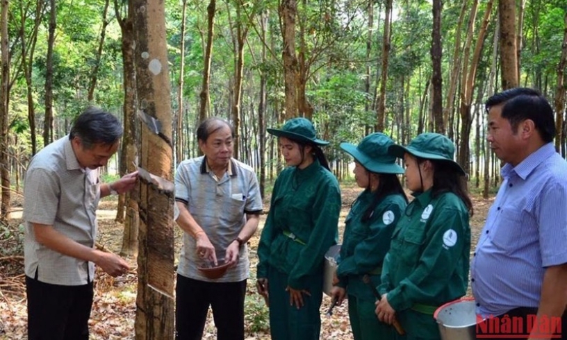 Kim ngạch xuất nhập khẩu Việt Nam-Lào giữ vững đà tăng