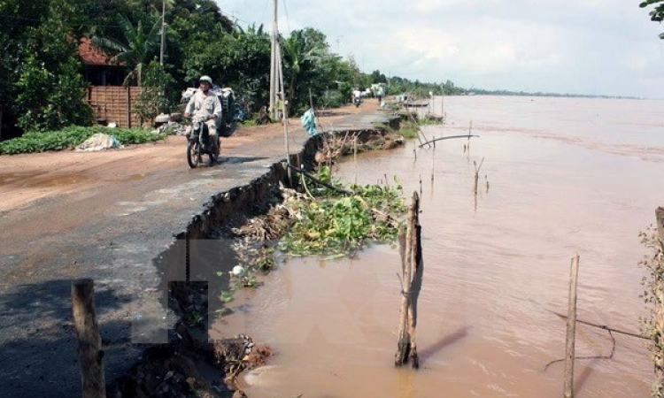 Xây dựng các giải pháp dựa vào thiên nhiên thích ứng biến đổi khí hậu