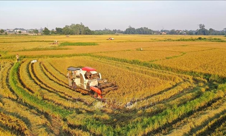 Ban Bí thư ban hành Chỉ thị số 16 về lãnh đạo Đại hội Hội Nông dân các cấp nhiệm kỳ 2023-2028