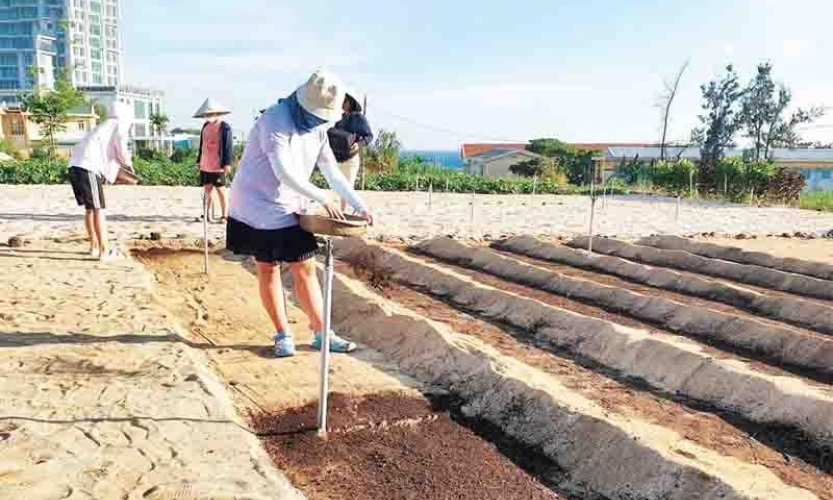 Kỳ bí đảo núi lửa Lý Sơn