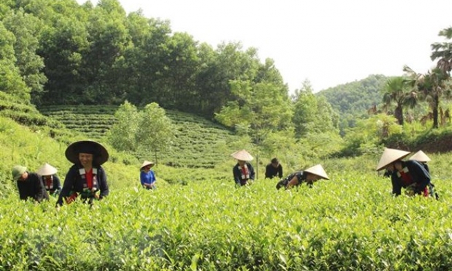 Bảo tồn văn hóa dân tộc Sán Chay gắn với phát triển du lịch cộng đồng