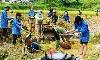 Thu hút sinh viên các trường đại học về hoạt động tình nguyện: Cách làm của Huyện đoàn Chi Lăng