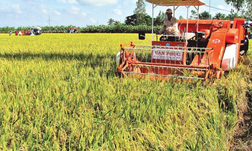 Khơi thông tín dụng phục vụ sản xuất nông nghiệp