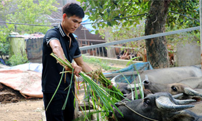 Khánh Xuân: Thực hiện hiệu quả công tác giảm nghèo