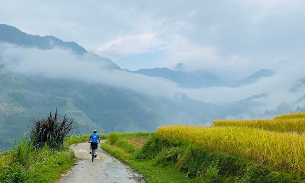 Phụ phẩm nông nghiệp: Tài nguyên còn bỏ ngỏ