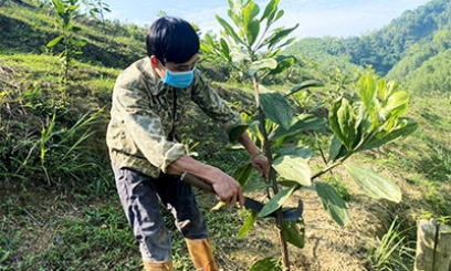 Hội Nông dân xã Thiện Thuật: Điểm sáng thi đua sản xuất, kinh doanh giỏi