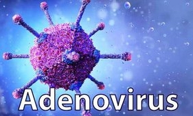 Phòng và điều trị khi nhiễm Adenovirus như thế nào?