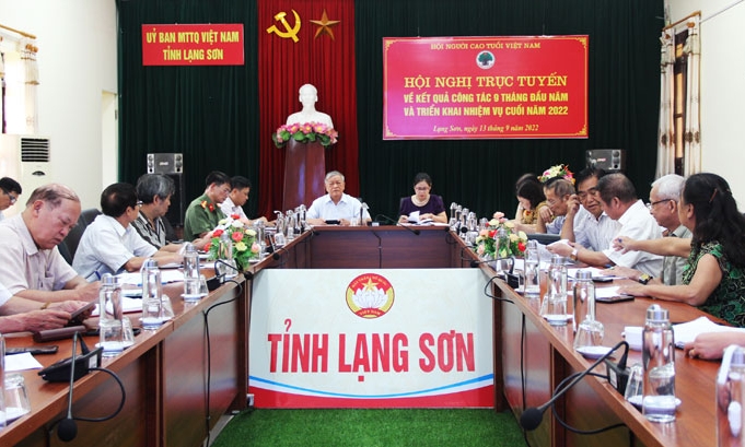 Hội Người cao tuổi Việt Nam triển khai nhiệm vụ cuối năm 2022