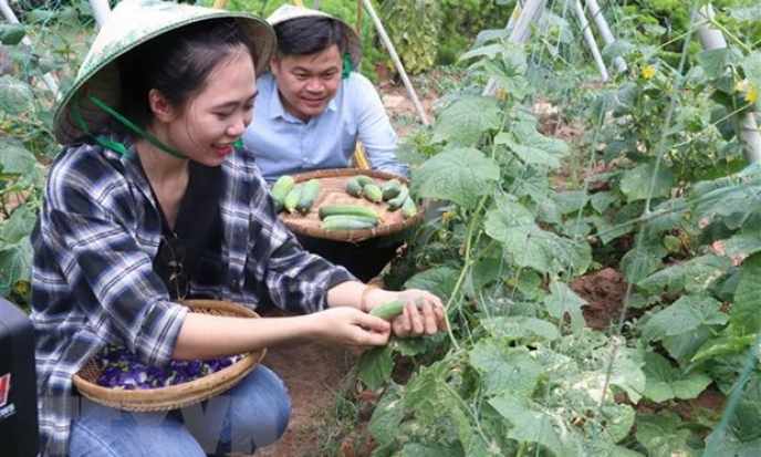 Hà Nội tìm hướng phát triển sản phẩm du lịch nông nghiệp đặc trưng